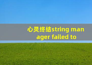 心灵终结string manager failed to